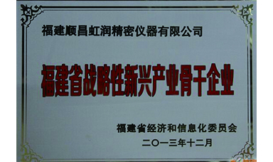 虹潤躋身省級(jí)戰(zhàn)略性新興產(chǎn)業(yè)骨干企業(yè)